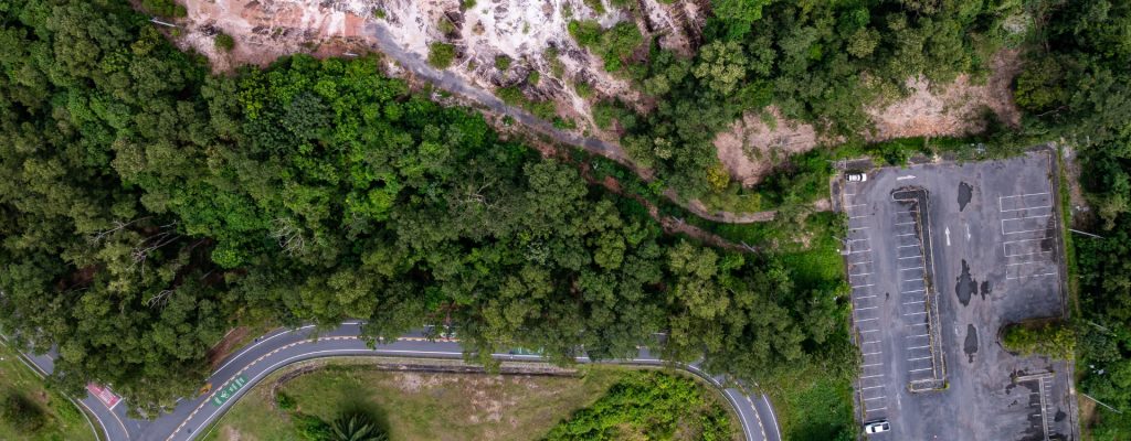 dictámenes ambientales