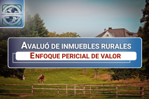Principales criterios técnicos que deben considerarse en el análisis y avaluó de inmuebles rurales, especialmente en contextos de liquidación, reorganización empresarial y controversias técnicas.