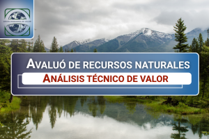 Los recursos naturales constituyen activos estratégicos con impacto directo en la estructura económica de proyectos productivos, empresas y territorios. Su análisis técnico y valoración económica adquieren especial relevancia en escenarios de liquidación, reorganización empresarial